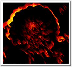 gallery__gallery_artistic4