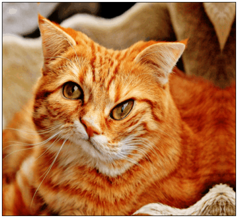 gallery__gallery_codesamples15