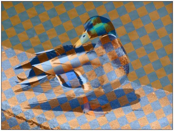 gallery_chessboard26