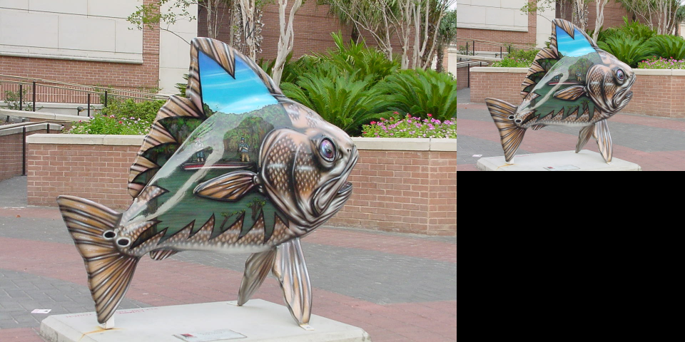 -input images/fish.jpg -r2dx. 50%,5 [-1] -r2dx. 50%,5