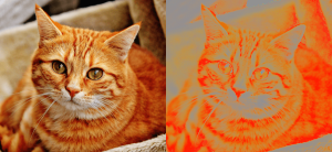 sp cat,150 +orientation. normalize. 0,{2^8-1}