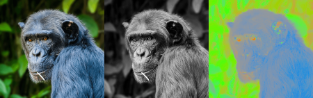 sp monkey,150 +norm. to_rgb. +orientation.. normalize[^0] 0,{2^8-1}